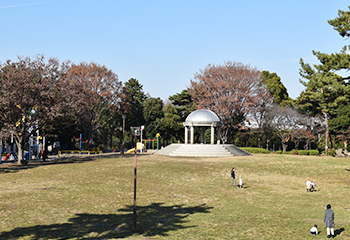 相模大野中央公園写真